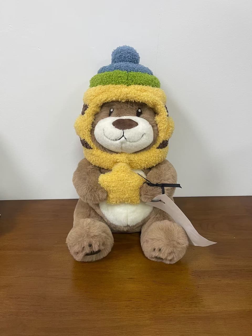 Brown teddy bear plush toy in a hood holding a star